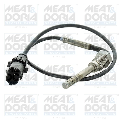 Sensor, exhaust gas temperature